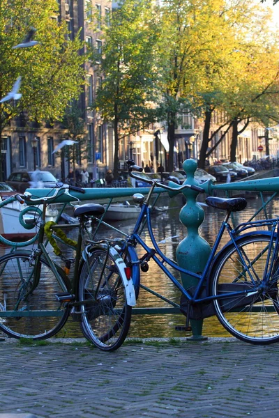 Tipica vecchia bicicletta Amsterdam sul ponte in Olanda . — Foto Stock