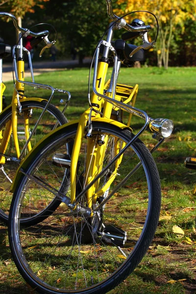 Typické amsterdam žluté kolo v Holandsku. — Stock fotografie