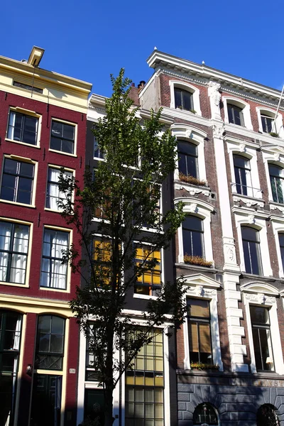 Typická amsterdam domy nad modrá obloha — Stock fotografie