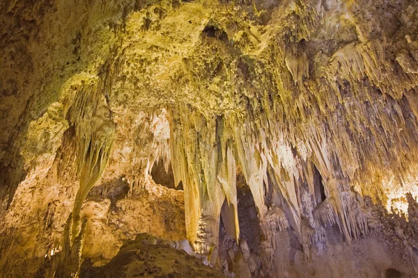 Карлсбадские пещеры — стоковое фото
