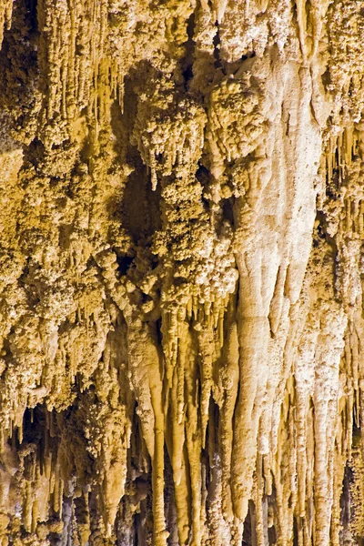 Carlsbad洞穴国家公园 — 图库照片