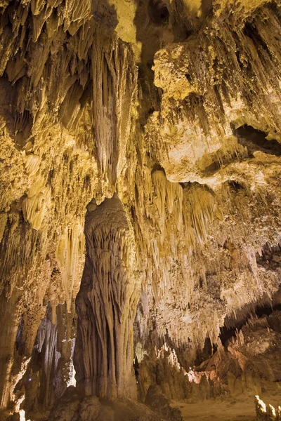 Carlsbad Caverns nasjonalpark – stockfoto