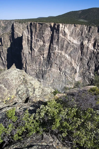 Rock details in zwart canyon van het gunnison — Stockfoto