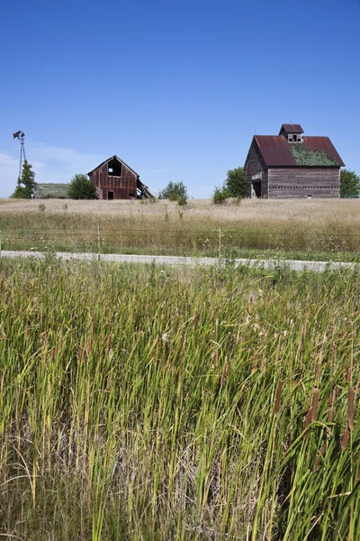 Oude boerderijgebouwen in het midden van veld — Stockfoto