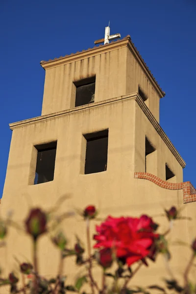 Rose dal Santuario di Guadalupe — Foto Stock