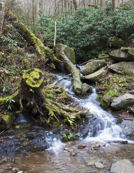 Paisagem Smoky Mountains — Fotografia de Stock