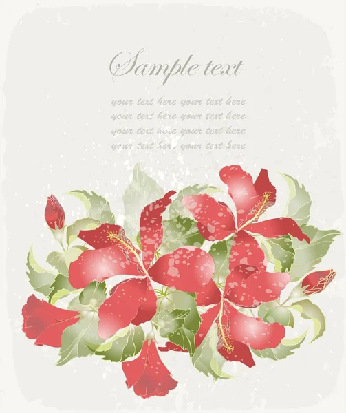 Cartão de saudação com hibisco. Ilustração hibisco . —  Vetores de Stock