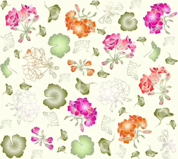 Sömlös bakgrund. illustration geranium. — Stock vektor