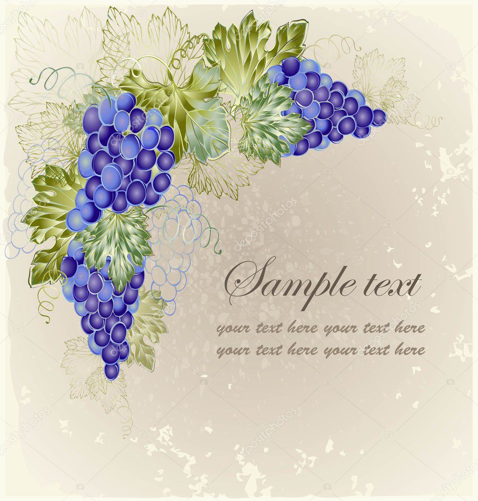 Vintage background with grape branch .