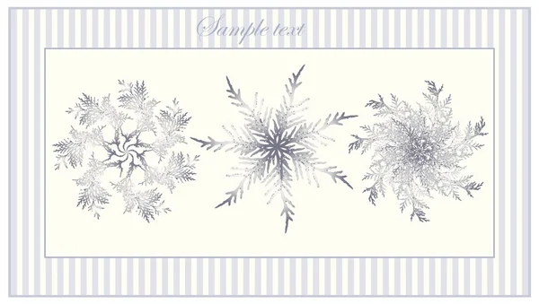 Greeting card with snowflakes.Illustration snowflakes. — Stock Vector