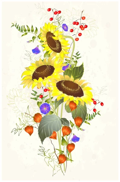 Grußkarte mit einer Sonnenblume — Stockvektor