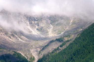 Altay Dağları