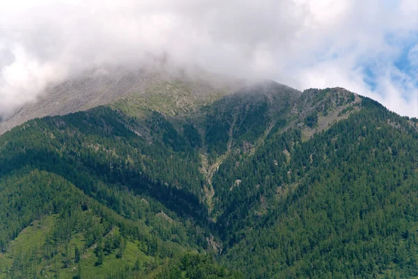 stock image Altai Mountains