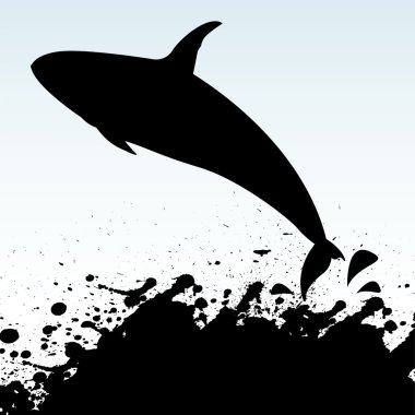 Killer Whale clipart