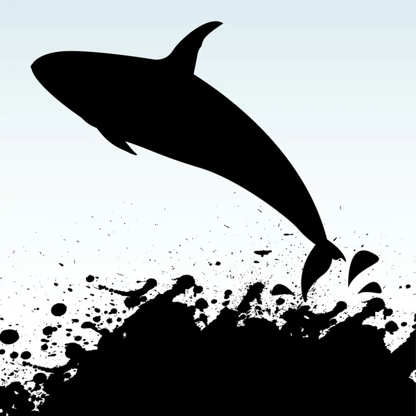 Velryba zabijácká — Stockový vektor