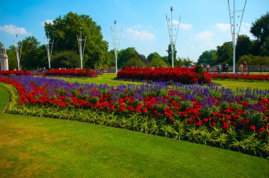 çiçeğe kompozisyon Park