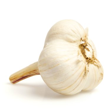 Garlic isolated on white clipart