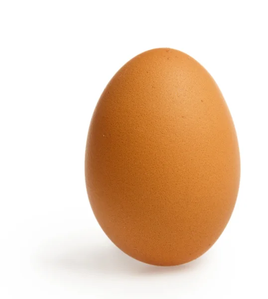Коричневий яйце з відсічним контуром Стокова Картинка