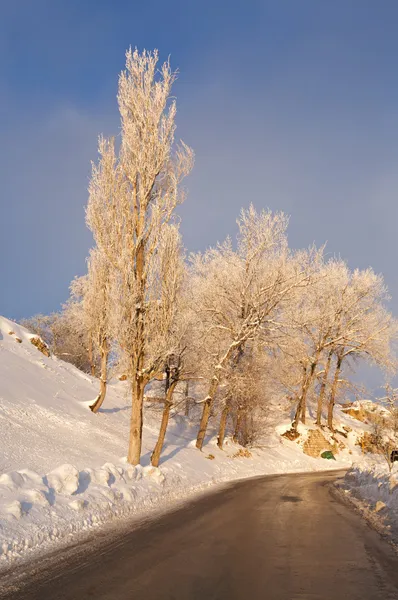 Winter road. — Stock Photo, Image