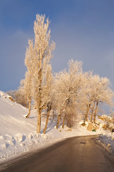 冬の道. ストック画像
