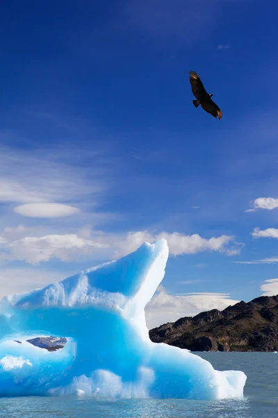 Modré ledovce — Stock fotografie