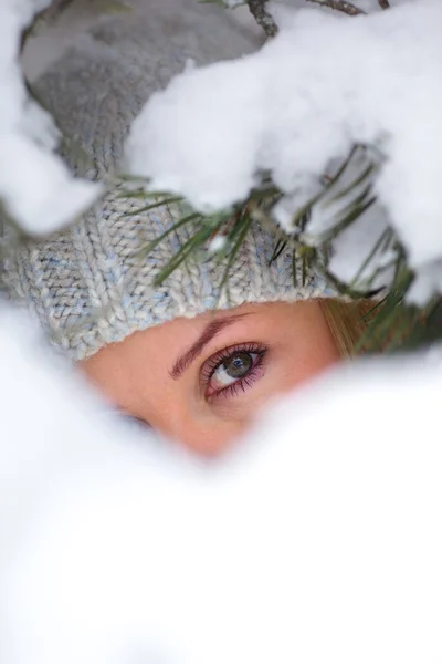 Pod sněhem borovice — Stock fotografie