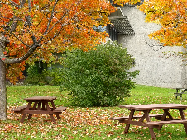 Picknickplatz — Stockfoto