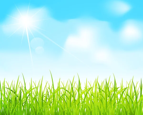 Vector blauwe lucht en groen gras — Stockvector