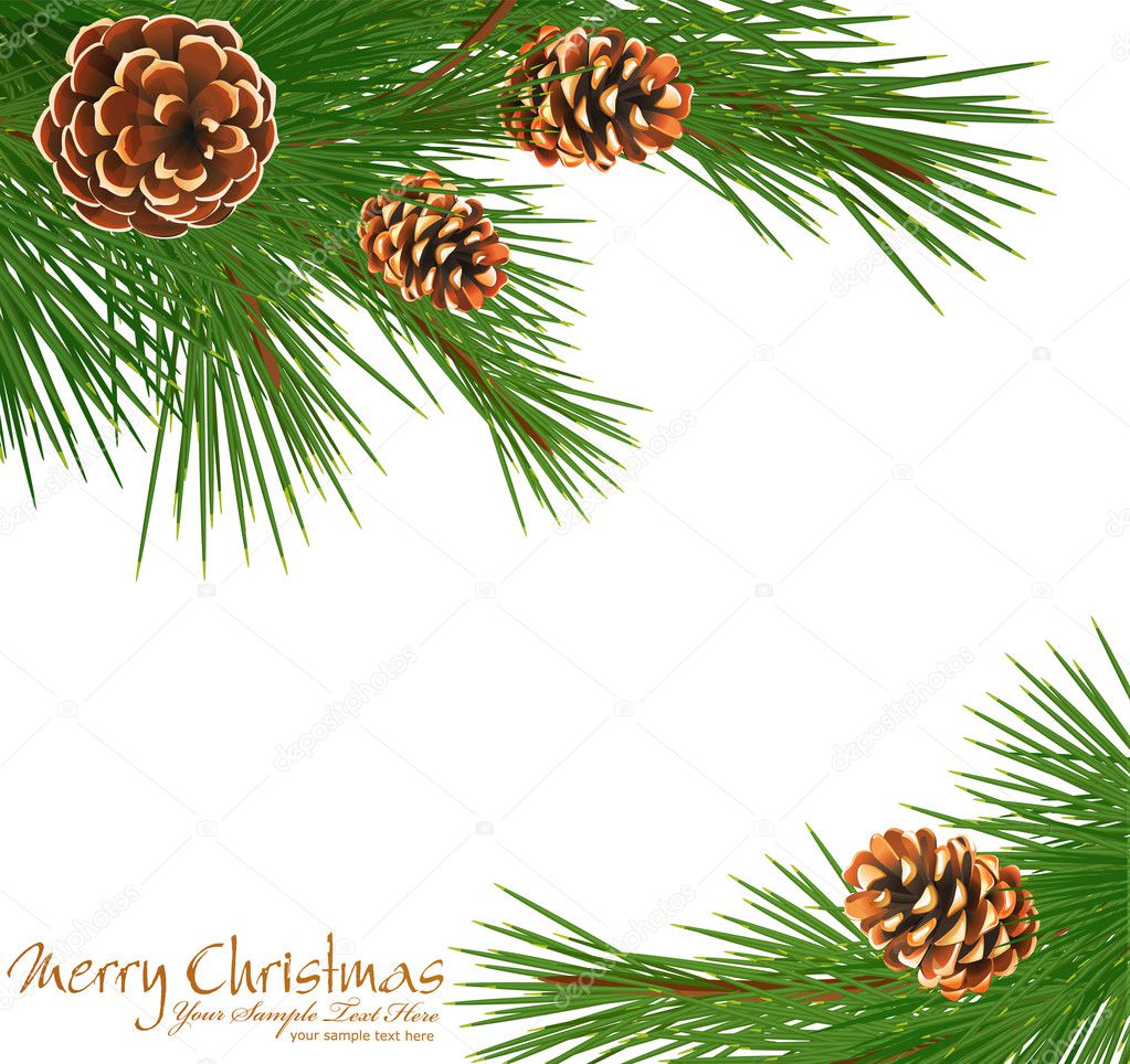 Festive vector background with green spruce and pine cones