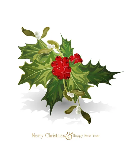 Boże Narodzenie tło z gałązką Europejskiej Holly (Ilex — Wektor stockowy