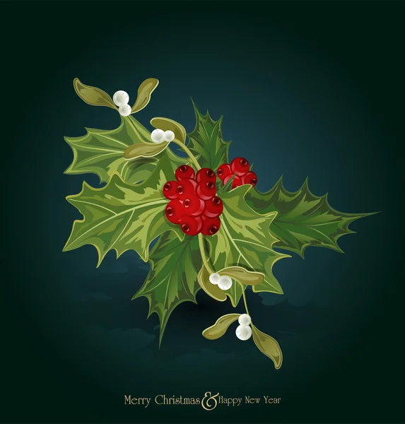 Fond de Noël vectoriel avec brin de houx européen (Ilex — Image vectorielle