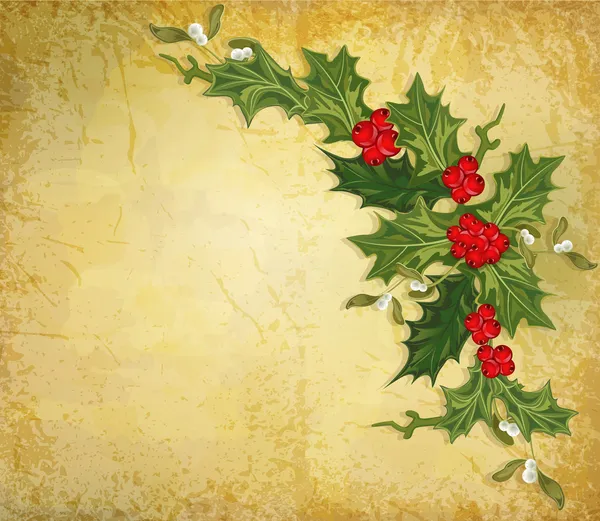 Vintage Noel arka plan bahar dalı Avrupa holly ile vektör — Stok Vektör