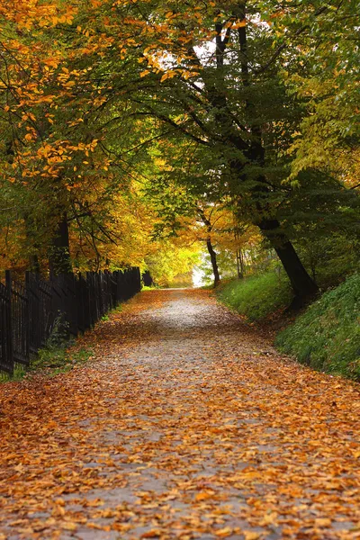 Jesienna aleja — Zdjęcie stockowe