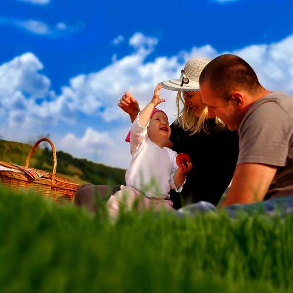 Family picnic collage — Stock Photo, Image