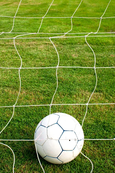Ball in the net. — Stock Photo, Image