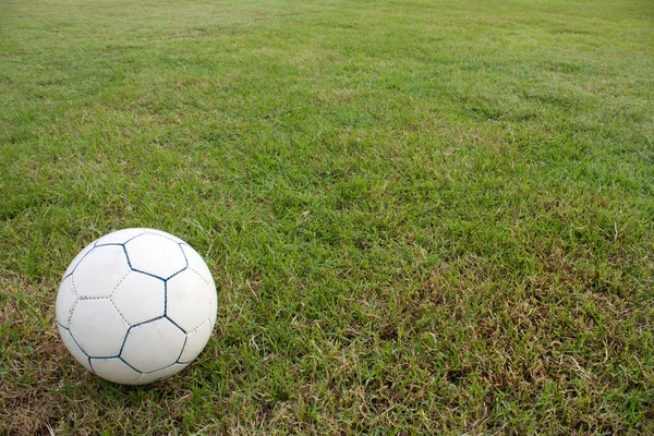 Piłkę na podwórku. — Zdjęcie stockowe