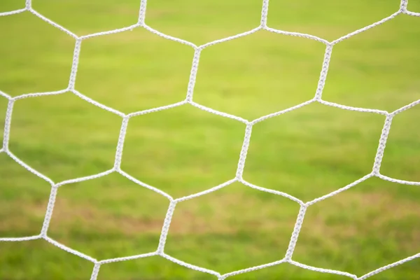 Mesh and the grass. — Stock Photo, Image