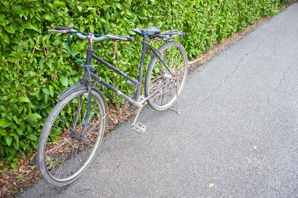 Fahrrad im Park. — Stockfoto