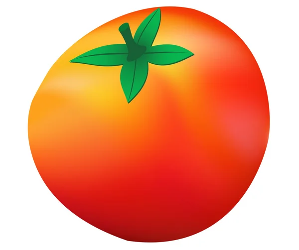 Tomate maduro — Archivo Imágenes Vectoriales