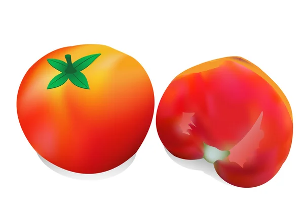 Dois tomates —  Vetores de Stock