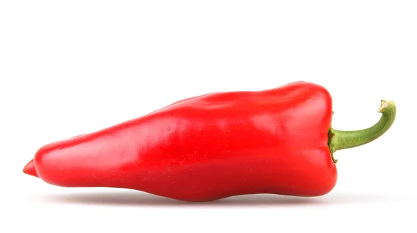 Rote Chilischoten — Stockfoto