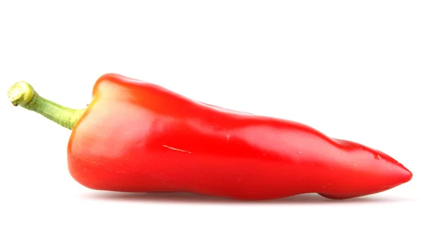Pimentos de malagueta vermelha — Fotografia de Stock