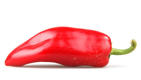 Красный перец чили — стоковое фото