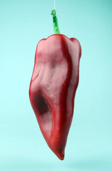 Piros chili paprika — Stock Fotó