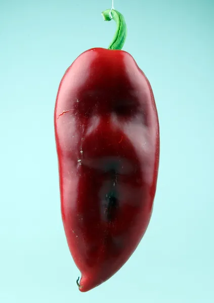 红辣椒 — 图库照片