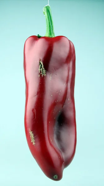 Röd chili peppers — Stockfoto