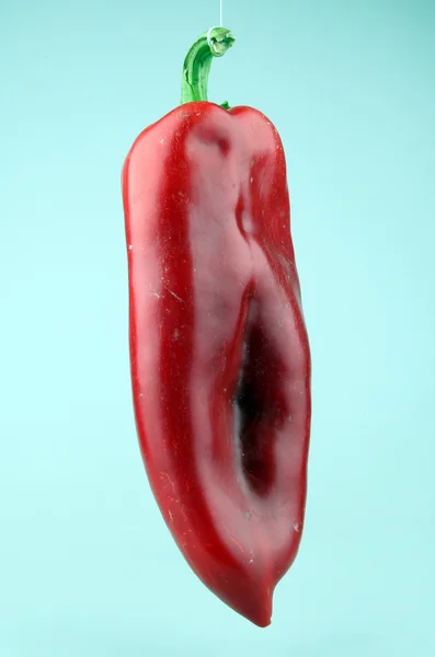 Kırmızı biber biber — Stok fotoğraf