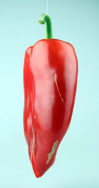 Перець червоний перець — стокове фото