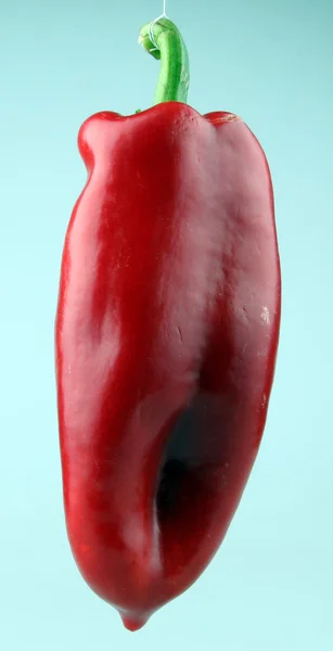 Röd chili peppers — Stockfoto