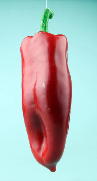 Kırmızı biber biber — Stok fotoğraf